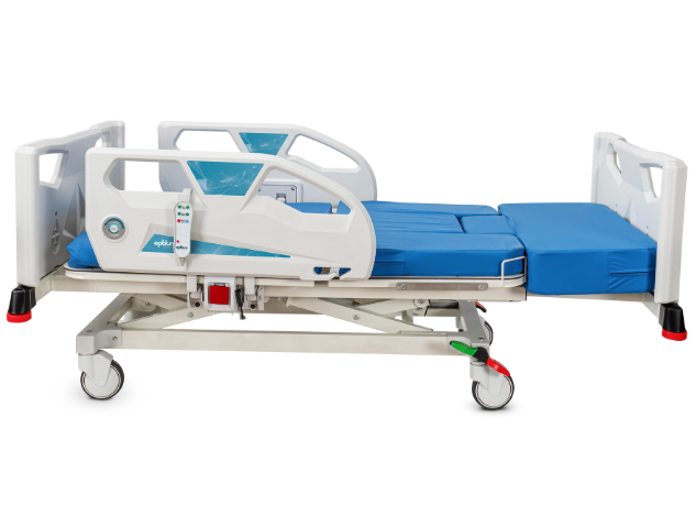 Electronic Delivery Bed, 3 Motors 3