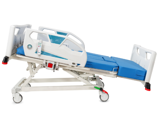 Electronic Delivery Bed, 3 Motors 6